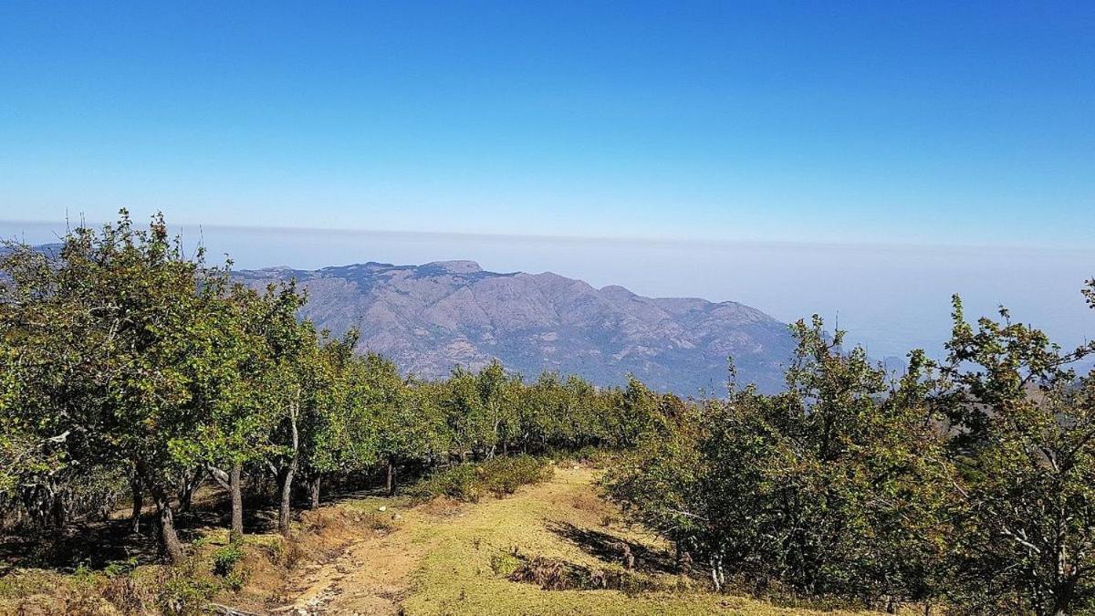 Starlight Hotels Kodai Tamilnadu - Tamilnadu - Kodaikanal Esterno foto